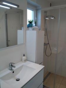 een badkamer met een wastafel en een douche met een spiegel bij Les terrasses de Malmedy duplex 428 in Malmedy