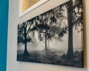 a picture hanging on a wall with trees at Korte Apartment 1 in Arta