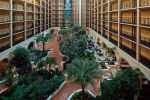 kryte centrum handlowe z palmami w budynku w obiekcie Four Points by Sheraton Suites Tampa Airport Westshore w mieście Tampa