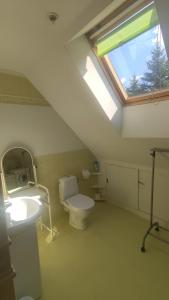 łazienka z toaletą, umywalką i oknem dachowym w obiekcie Dom na Zaciszu w Warszawie