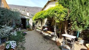 a house with a bunch of plants and trees at L'olivier sur la place in La Rochegiron