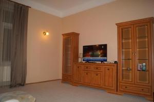a living room with a tv and a entertainment center at Dream appartment for a nice holiday with a bedroom and living room! in Mariánské Lázně