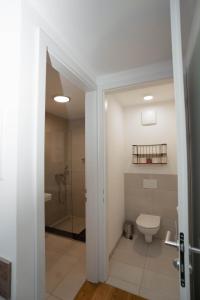 La salle de bains est pourvue d'une douche et de toilettes. dans l'établissement Modern apartment with tiny garden near city center, à Vienne