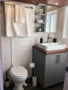 Ein Badezimmer in der Unterkunft Modern Private Tiny House in the Forest