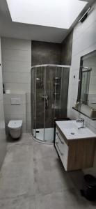 a bathroom with a shower and a sink and a toilet at Apartment Sandy Beach - 1st row at sea in Pješčana Uvala 