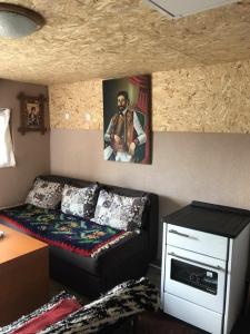 uma sala de estar com um sofá e uma pintura na parede em Vikendica Komovi em Andrijevica