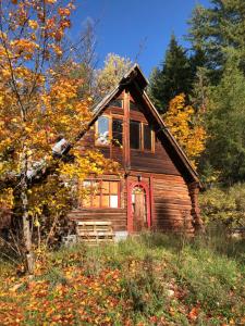 an old log house with a red door at Modern Private Tiny House in the Forest in Slocan