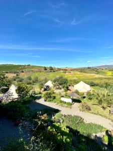 an aerial view of a garden with tents in a field at Glamping Bed and Breakfast Finca Alegria de la Vida in Pizarra