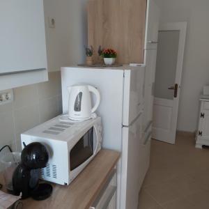 Kuchyňa alebo kuchynka v ubytovaní Apartman Fiume