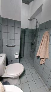 een badkamer met een toilet en een douche bij Styfilia Beachfront Apartment - Ground Floor in Sifnos