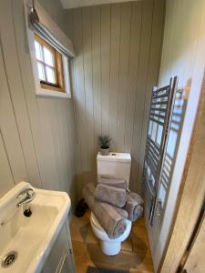 łazienka z toaletą i umywalką w obiekcie Kingfisher w mieście Chirk