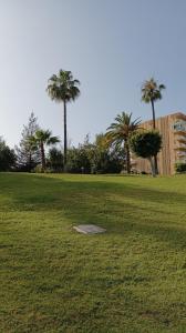 a field of grass with palm trees and a building at Benaldream in Benalmádena