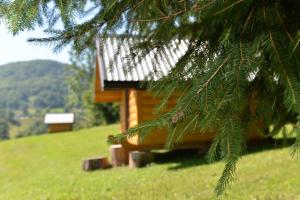 eine Blockhütte auf einem grünen Hügel in der Unterkunft Small Bungalow in Mojkovac