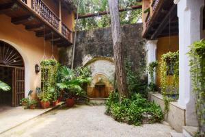 卡塔赫納的住宿－4CB-1 CASA COLONIAL DE 4 HABITACIONES EN EL CENTRO HISTORICO DE CARTAGENA，一座种植了植物的古老房子的庭院