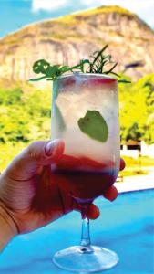 a hand holding a drink with a green garnishment at Flat completo do Rodeadouro in Bonito +24 photos
