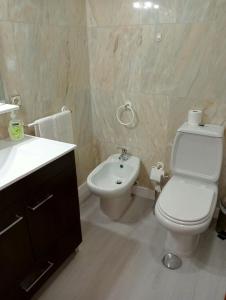 y baño con aseo blanco y lavamanos. en Apartamento Alvares Cabral, en Vila Nova de Gaia
