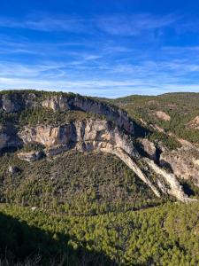 an aerial view of a mountain with trees at LA COLMENA in Cañizares