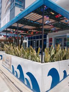 Mar de Indias House في كارتاهينا دي اندياس: عرض نباتات أمام متجر