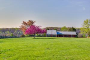 un fienile in un campo con un albero rosa di Idyllic Appomattox Home with Porch and Rocking Chairs! ad Appomattox