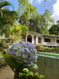 a house with a flower in front of it at Eeshani Guest Inn in Ella