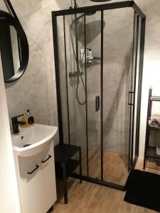 a bathroom with a shower and a sink at Blu Apartament 6 Cetniewo Osada in Władysławowo
