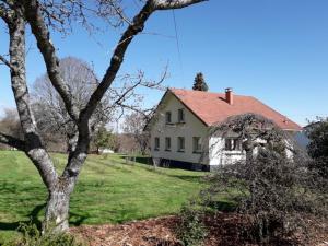 Vonkajšia záhrada v ubytovaní Maison spacieuse avec terrasse, près de Saint-Dié, idéale pour randonnées et proche de l'Alsace - FR-1-589-464