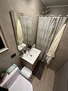 a bathroom with a sink and a toilet and a mirror at Hermoso apartamento con piscina cercano al centro in Pucón