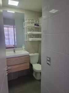 a bathroom with a toilet and a sink and a mirror at Hermoso departamento, cómodo y tranquilo, cerca de todo, a pasos de la playa in Iquique