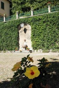 Zahrada ubytování Palazzo Ronchelli
