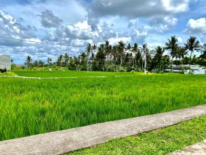 ein Grüngrasfeld mit Palmen im Hintergrund in der Unterkunft Ubud Mayura Private Pool Villa in Ubud