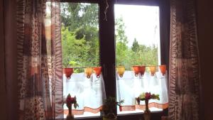 two windows with flowers in vases on a window sill at Ferienwohnung direkt in Ilmenau in Ilmenau