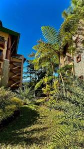 a garden with palm trees next to a building at BRENT RESIDENCES BAGUIO in Baguio