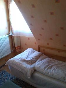 オロシュハーザにあるAlpesi Vendégházのベッドルーム1室(ベッド1台付)、天井(窓付)が備わります。