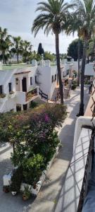 a row of white buildings with palm trees and flowers at Apartamento 309 frente al mar en Alcossebre in Alcossebre