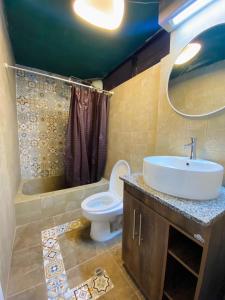 a bathroom with a sink and a toilet and a shower at Puruha Inn in Riobamba