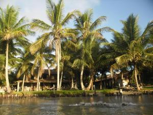 een groep palmbomen voor een resort bij Hospedaria Cumuruxatiba in Cumuruxatiba
