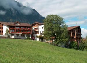 a group of buildings on a hill with a tree at Hotel Aeschipark in Aeschi