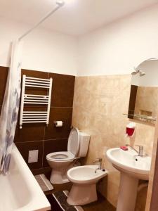 La salle de bains est pourvue de toilettes et d'un lavabo. dans l'établissement NARCISA, à Piatra Neamţ