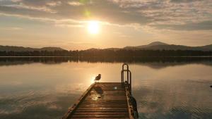 a bird sitting on the end of a dock on a lake at The Gran Resort Amanohashidate in Miyazu