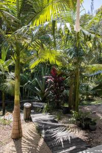 Fotografie z fotogalerie ubytování Honeybird Hideaway, a private subtropical retreat v destinaci Warwick Park