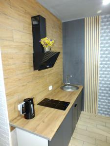 una cucina con bancone, lavandino e lavandino di Smart apartment a Yuzhne