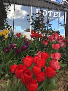 un’esposizione di tulipani rossi di fronte a un negozio di Hotel du 6 juin a Sainte-Mère-Église