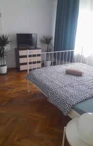 Ein Bett oder Betten in einem Zimmer der Unterkunft Stay Inn Apartments