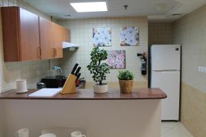 Kuchyň nebo kuchyňský kout v ubytování Newly furnished cozy 1 bedroom apartment close to JBR beach and metro
