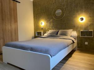 a bedroom with a large bed and a mirror at Gite du Pavillon in Rocroi