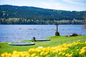 a group of people swimming in a lake at Amenity Hotel & Resort Lipno in Lipno nad Vltavou