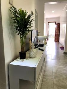 uma sala de estar com um balcão branco com uma planta em Aberdare Home em Othaya