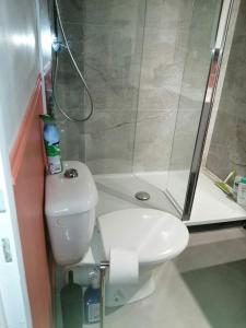 La petite salle de bains est pourvue d'une douche et de toilettes. dans l'établissement Beau studio avec balcon, à Bagnères-de-Bigorre