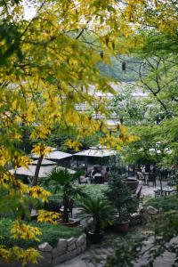 un parc avec des tables et des arbres à feuilles jaunes dans l'établissement Zhi Resort Beijing, à Pékin