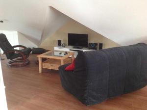 TV a/nebo společenská místnost v ubytování Ferienwohnung Studiowohnung, offener Wohn- und Schlafber